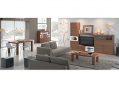 ZEN 501 RAMIS