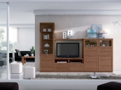 ZEN 505 RAMIS