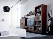 Composici&oacute;n Z-108 de muebles para sal&oacute;n modernos BAHUAUS