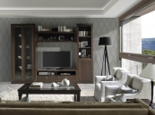 Salones y Comedores PASSION 06